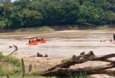  PETI di Tebo Memakan Korban, Satu Warga Rimbo Bujang Tertimbun Longsor Saat Mendopeng