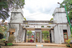 Pesona Hutan Kota Muhammad Sabki: Wisata Edukasi dan Rekreasi Keluarga di Jambi