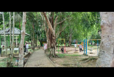 Capai 19.711 Pengunjung Kunjungan Taman Hutan Kota Muhammad Sabki