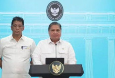 Pemerintah Luncurkan Program Magang untuk Lulusan Baru, Gaji Rp3,3 Juta Setara UMP Selama Enam Bulan