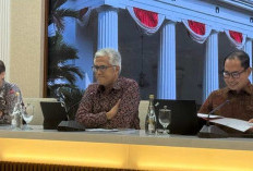 Sesalkan Pencabutan Visa WNI di AS, Tanpa Proses Hukum yang Wajar