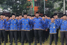 Rekrutmen ASN Kota Jambi 2025 Belum Pasti, Kota Jambi Kekurangan ASN tenaga pendidik dan tenaga kesehatan.