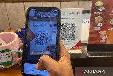 Anggota DPR Usulkan Tiga Kebijakan Terkait Payment ID