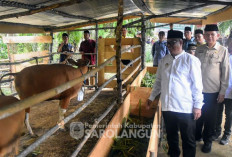 Pj Bupati Sarolangun Kunjungi Kecamatan Mandiangin Timur, Salurkan Bantuan Ternak dan Resmikan Kotak Infak BAZ