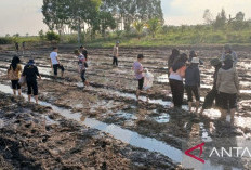 Kementan Gandeng Mahasiswa  Kembangkan Pertanian Lahan Rawa