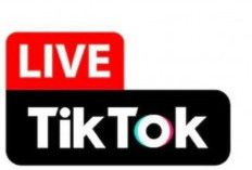 Kemkomdigi Siap Koordinasi dengan TikTok Terkait Fitur 