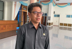 Jika Terbukti, Bekas Tambang di Koto Boyo Wajib di Reklamasi 