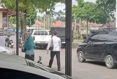 Inspektorat Jambi Lakukan Pemeriksaan, Dugaan Korupsi  Dana Hibah PKK Tebo 