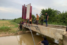 Dosen Unja Rancang Sistem Irigasi Tenaga Angin untuk Optimalisasi Lahan Pertanian di Kota Jambi