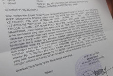 Empat Warga Jambi Tertipu Investasi Bodong, Rugi Ratusan Juta Lapor ke Polda