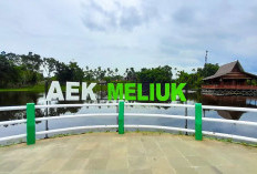 Perkembangan objek wisata di Batanghari diapresiasi pengunjung