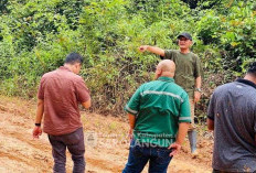 Bupati Hurmin Siapkan Solusi Cepat, Tinjau Jalan Rusak di Pauh Timur 