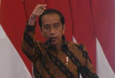 Jokowi Siapkan Bonus untuk Apresiasi Medali Emas Veddriq dan Rizky di Olimpiade Paris 2024