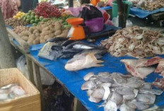  Harga Sembako Mulai Naik di Pasar Tanjab Timur