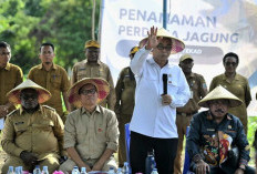 Menkop: KDMP Motor Penggerak Ketahanan Pangan dan Kemajuan Desa