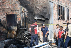 Tangani Ratusan Kasus Penyelamatan, Aksi Cepat Tanggap Damkar Kota Jambi