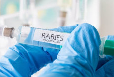 DKP Kota Tangerang Gelar Vaksinasi Rabies