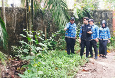 Target Kurangi Banjir 60 Persen, Wawako Diza Tinjau Progres Kolam Retensi Paal Lima