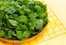 Manfaat Daun Jukut Sayuran Lokal