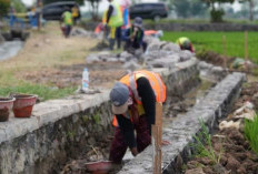 Perkuat Infrastruktur Irigasi di 8.000 Lokasi 