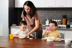 Kekurangan Zat Besi Dapat Turunkan IQ Anak