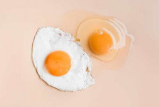 Benarkah Terlalu Banyak Makan Telur Bisa Picu Kolestrol, Begini menurut Para Ahli