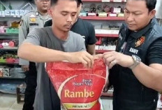 Uji Lab Nyatakan Negatif Zat Sintetis, Isu Beras Plastik di Provinsi Jambi