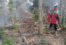 Status Karhutla Masih Siaga