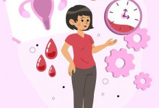 Penyebab Darah Menggumpal Saat Menstruasi