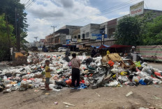 BREAKING NEWS: 5 Hari Sampah di Kebun Kopi Kota Jambi Menumpuk, Tak Kunjung Diangkut
