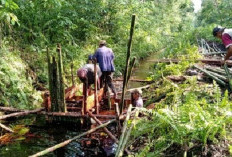 Waspada Karhutla saat Kemarau di Lahan Gambut, BPBD Batang Hari : Ada di Hampir Setiap Kecamatan