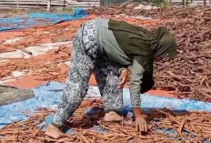 Dorong Percepatan Hilirisasi Kulit Manis