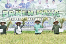 Bupati Fadhil Arief Hadiri Panen Raya Padi di Desa Pasar Terusan