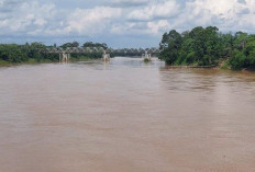 Tujuh Kecamatan di Tebo Rawan Banjir, BPBD Lakukan Mitigasi dan Peringatan Dini