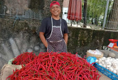  Harga Keriting Turun Usai Lebaran, Pedagang Harap Harga Stabil