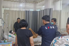 LPSK Terima 86 Permohonan Perlindungan