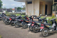Pemkab Tebo Data Kebutuhan Kendaraan Dinas 