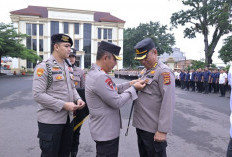 Kapolda Jambi Apresiasi Kinerja 19 Personel dengan Pin Emas