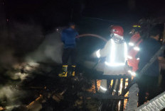 Diduga Akibat Korsleting Listrik, Dua Rumah Semi Permanen di Tanjung Katung Muaro Jambi Ludes Terbakar
