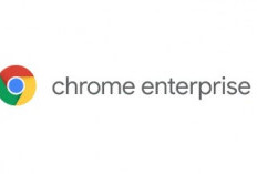 Google Luncurkan Chrome Berbayar, Tawarkan Fitur Keamanan Data Tingkat Tinggi 
