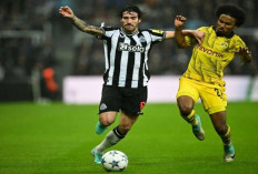 Gelandang Newcastle United Sandro Tonali, Diduga Lakukan Perjudian Ilegal