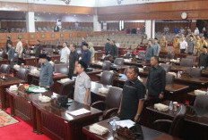 Dewan Soroti Penurunan PAD