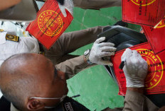 195 Kg Bawang Bombay dari Batam Ditolak 