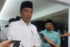 Jokowi Minta Jangan Ada Diskriminasi Sawit di Indonesia 