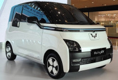 Empat Perusahaan Kendaraan Listrik China Siap Produksi di Indonesia