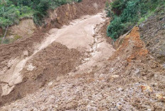84 Desa Berpotensi Longsor Di Kabupaten Batang Hari