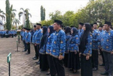 Pemkab Batanghari Buka 110 Formasi CPNS, Minta Pelamar Hati Hati saat Upload