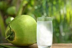 Manfaat Minum Air Kelapa untuk Kesehatan, Lebih dari Sekadar Pelepas Dahaga