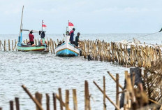 Kasus Pagar Laut Bisa Masuk Tindak Pidana Korupsi, Kejagung Kembalikan Berkas Perkara Pagar Laut 