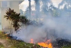 Terpantau Belasan Titik Hotspot,  Akibat Curah Hujan di  Kabupaten Tebo Minim  